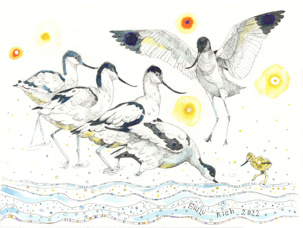 Avocets Canvas