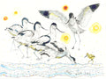Avocets Canvas
