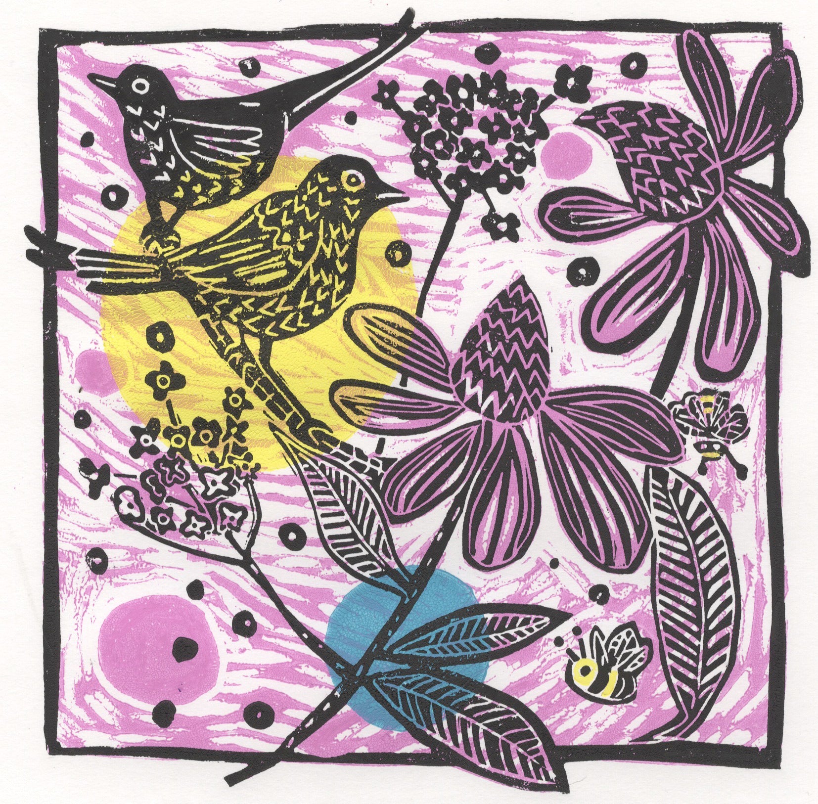 Blackbirds on Echinacea