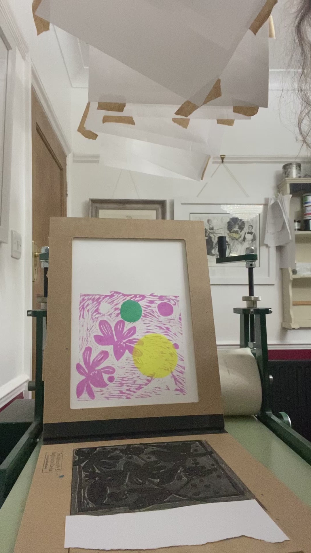 Blackbirds on Echinacea